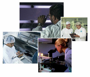 WHY JOHNSON WINDOW FILMS 7