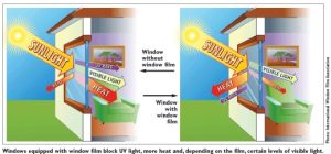 Chống Nóng Cho Nhà Kính - Đừng Quên Sử Dụng Phim Cách Nhiệt 8