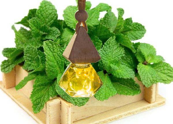 Lưu ý khi sử dụng tinh dầu xe hơi 10 tinh dầu bạc hà